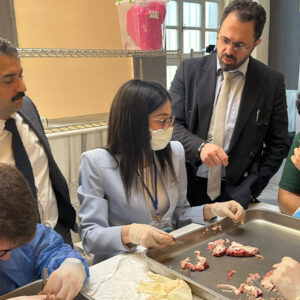 Brain Day Congress 2025