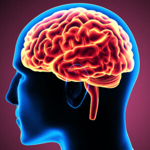 Glial Tümörler