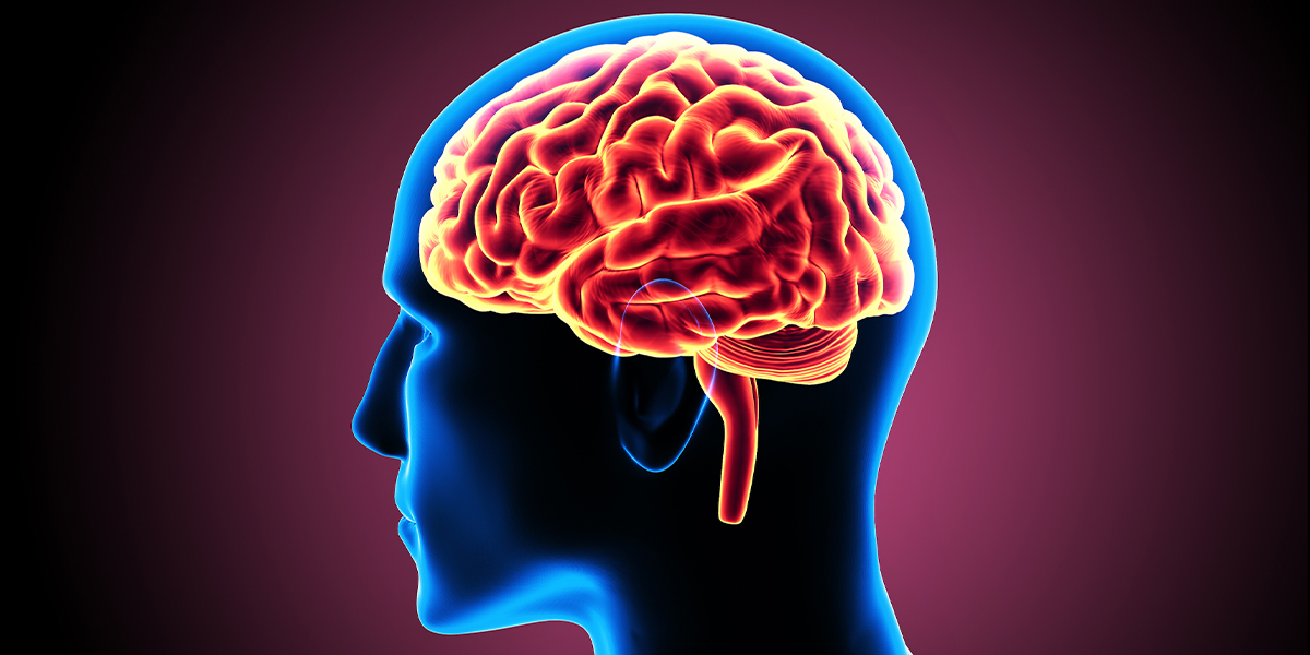 Glial Tümörler