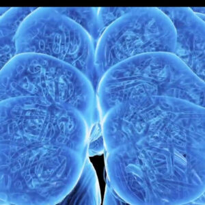 Beyin Ameliyatlarında Yapay Zeka Dönemi Başladı mı? – Beyaz TV